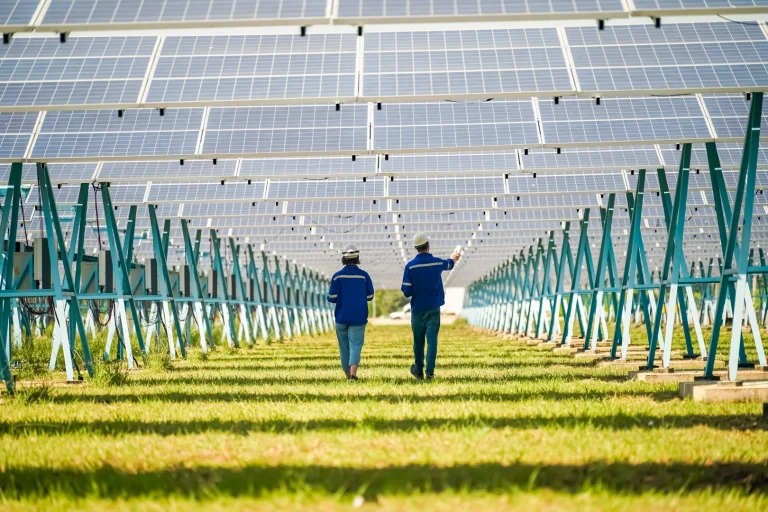 Environmentally Friendly Innovations for a Sustainable Future