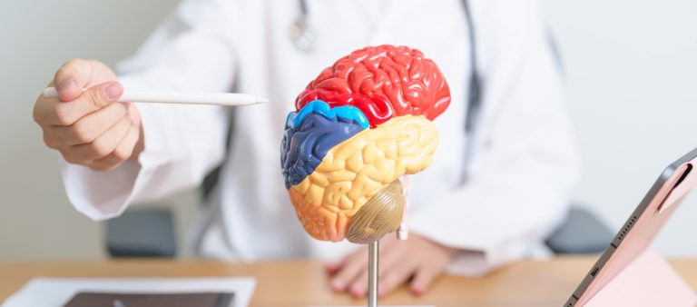 The Synchronization of Brain Waves in Human Communication
