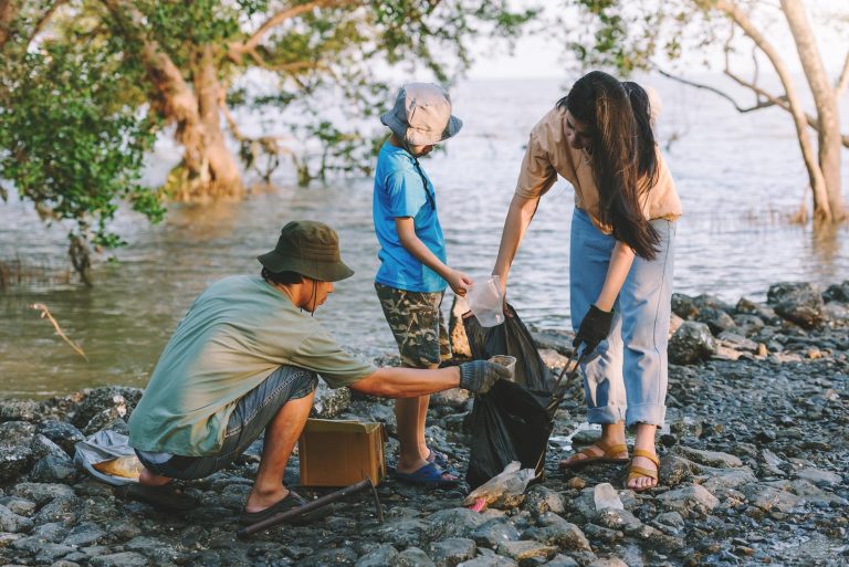 Ecosystem Services and Their Impact on Human Life