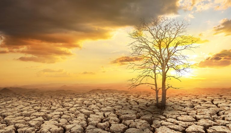 Is Nature the Salvation?