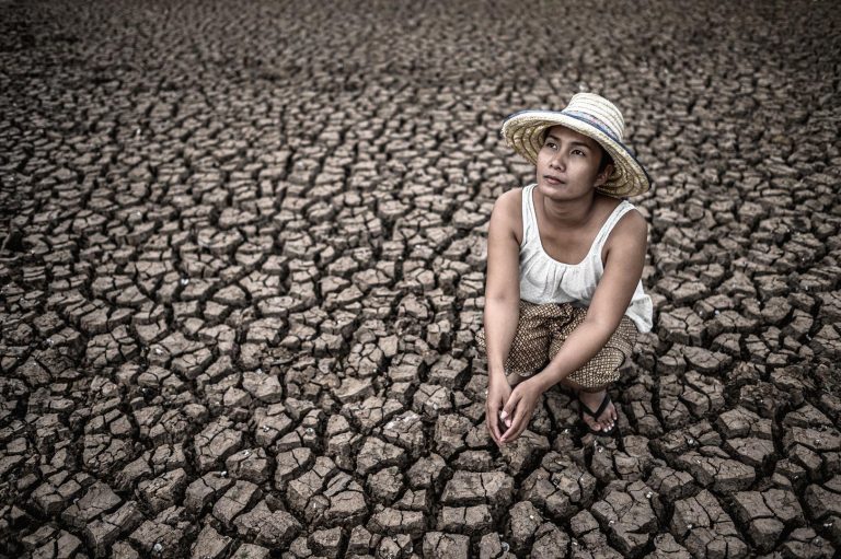 The Global Effects of Climate Change