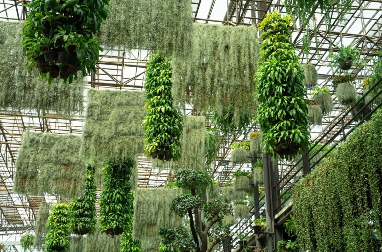 Genetic Architecture of Nature