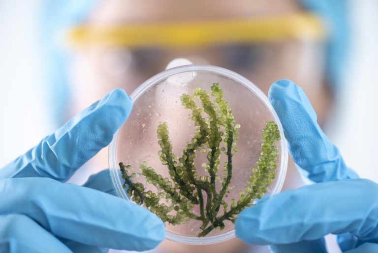 The Relationship between Nanotechnology and Biofilms
