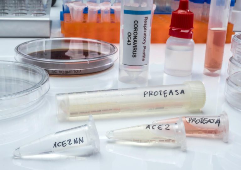 Amino Acids in the Aging Process