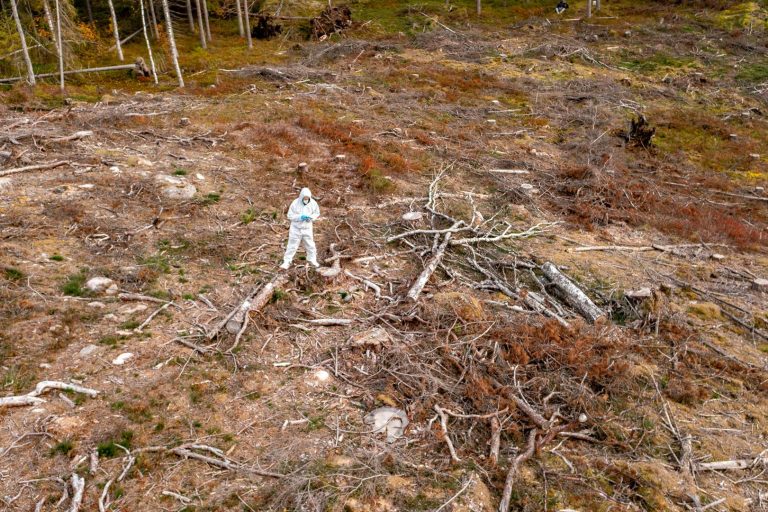 Restoration of damaged ecosystems