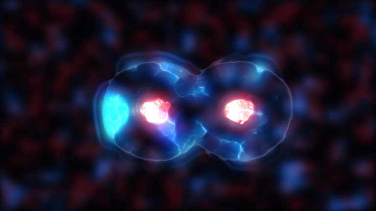 Amorf Structure and Liquid-Like Behaviors