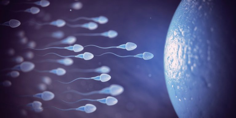 The Revolution in the Field of Reproduction in the Future