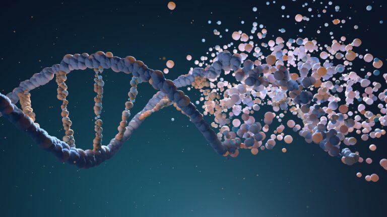 What are copy-paste errors in DNA?